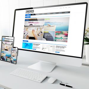 Manage Multiple Social Platforms White Point Digital manages multiple social platforms.